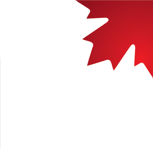 Red maple leaf on a white background