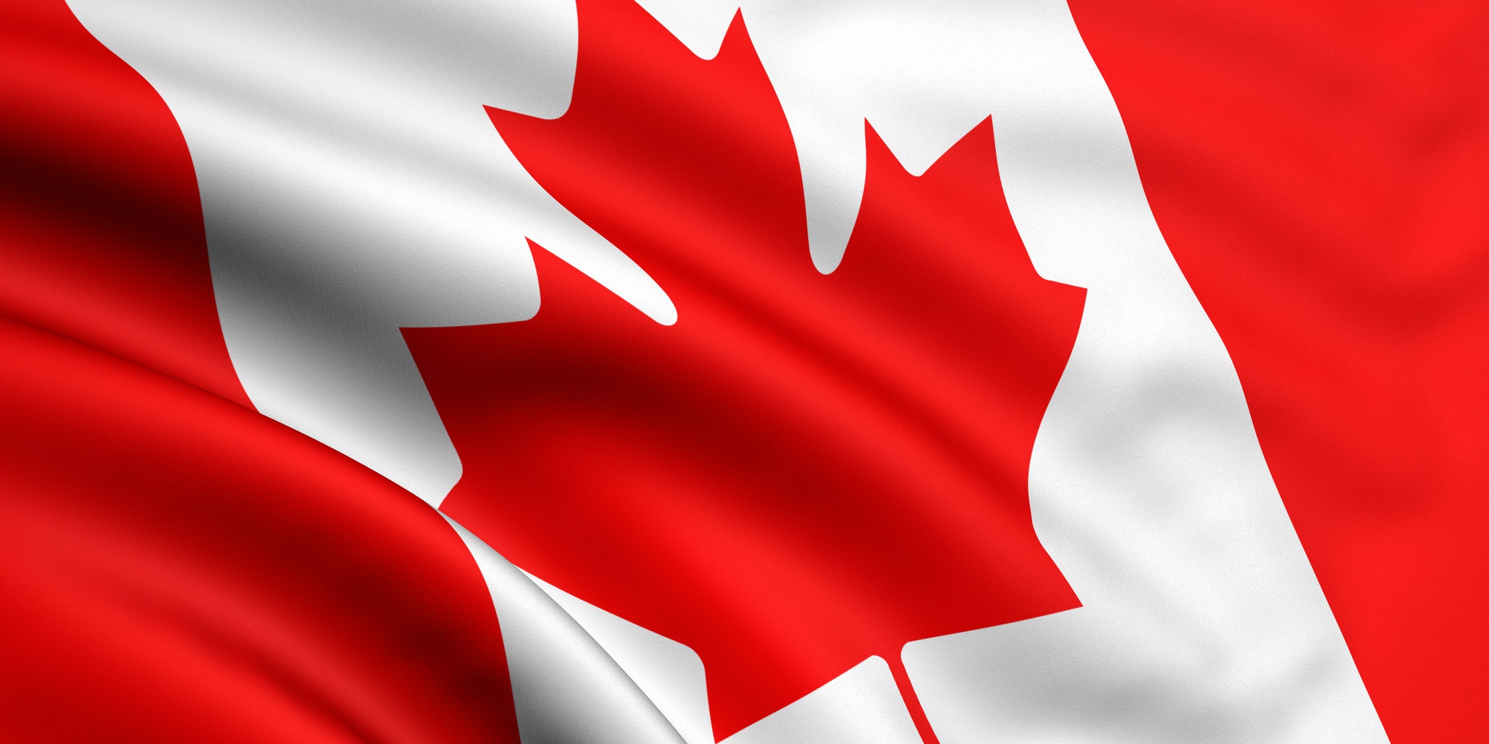 Navigating Tariffs: How a Truly Canadian Distributor Gives you the Competitive Edge